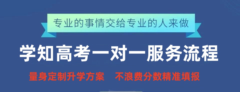 四川高考一对一志愿填报规划